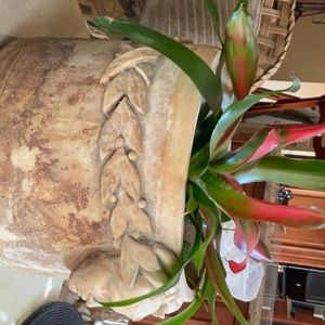 Meet your Posher, Suzanne